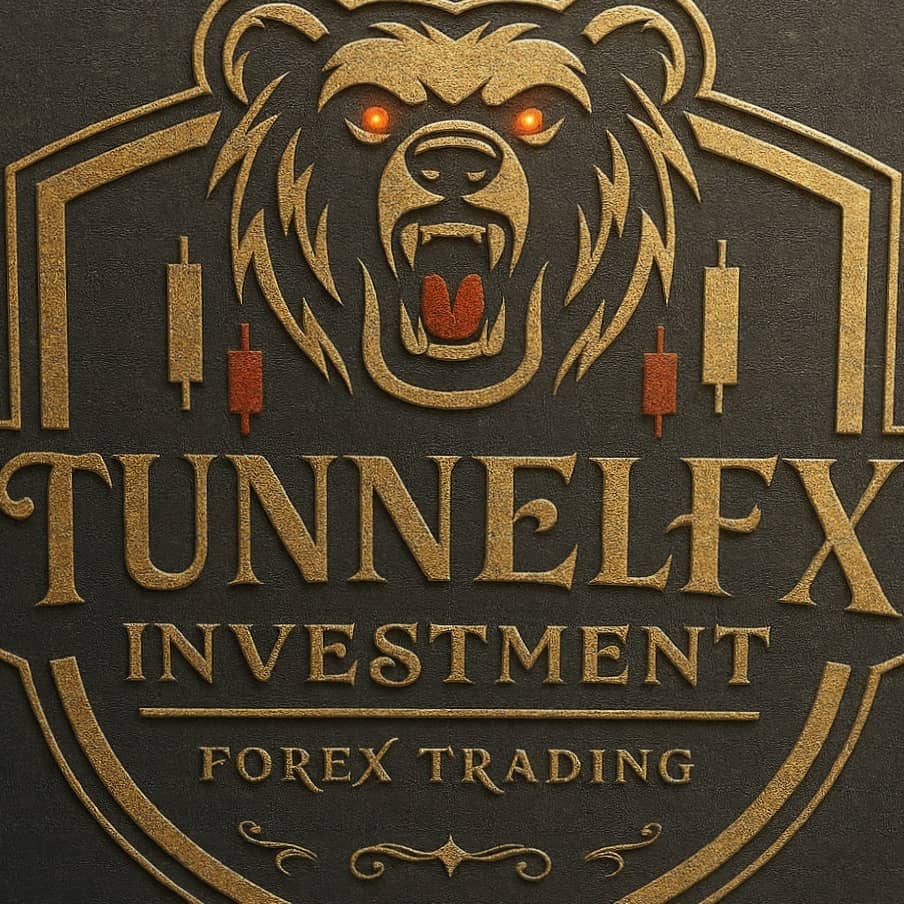 Tunnel Fx Investment